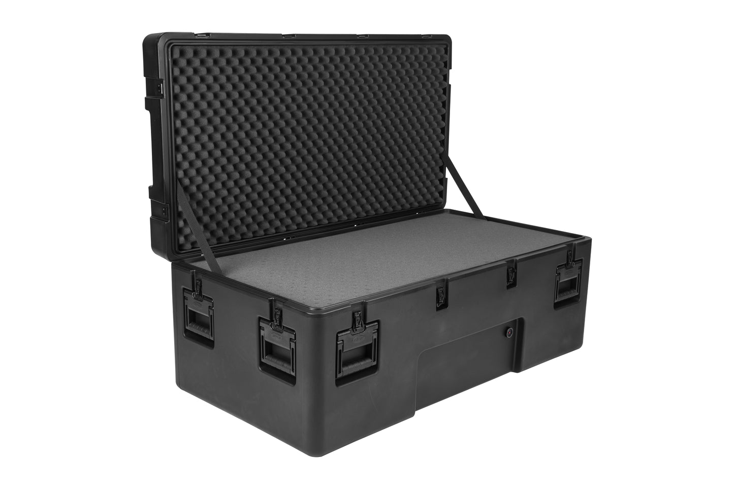 rSeries 4824-18B-Case