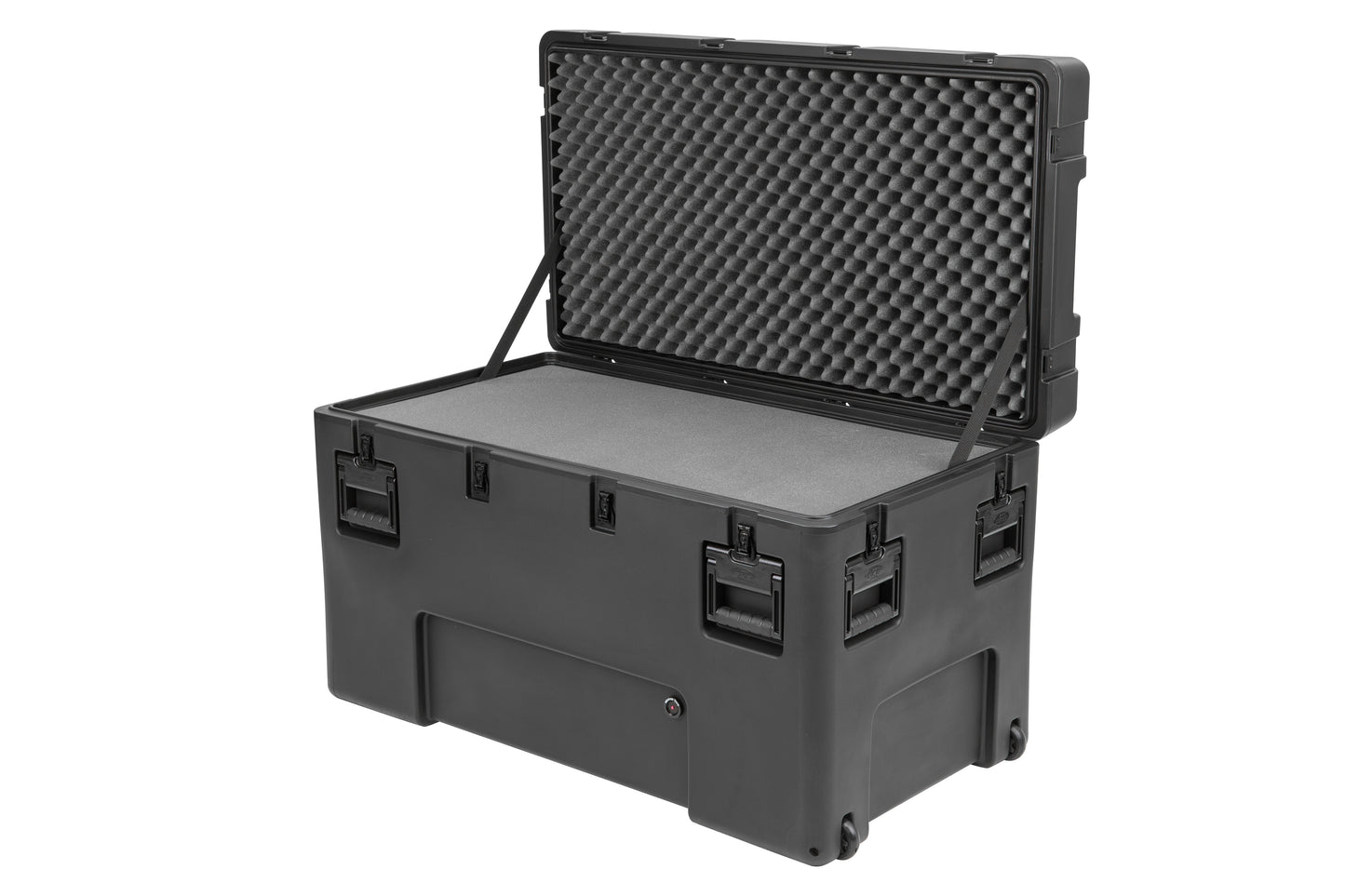 rSeries 4222-24B-Case