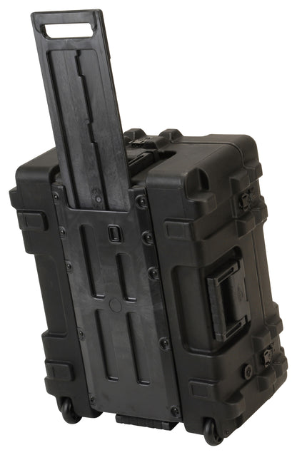 rSeries 2217-10B-Case