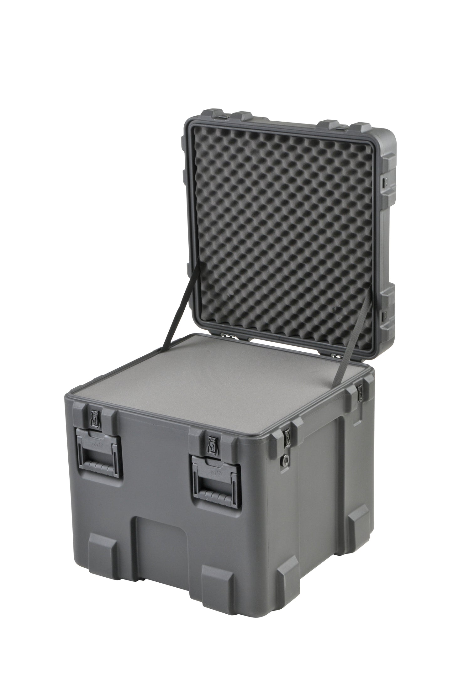 rSeries 2424-24B-Case