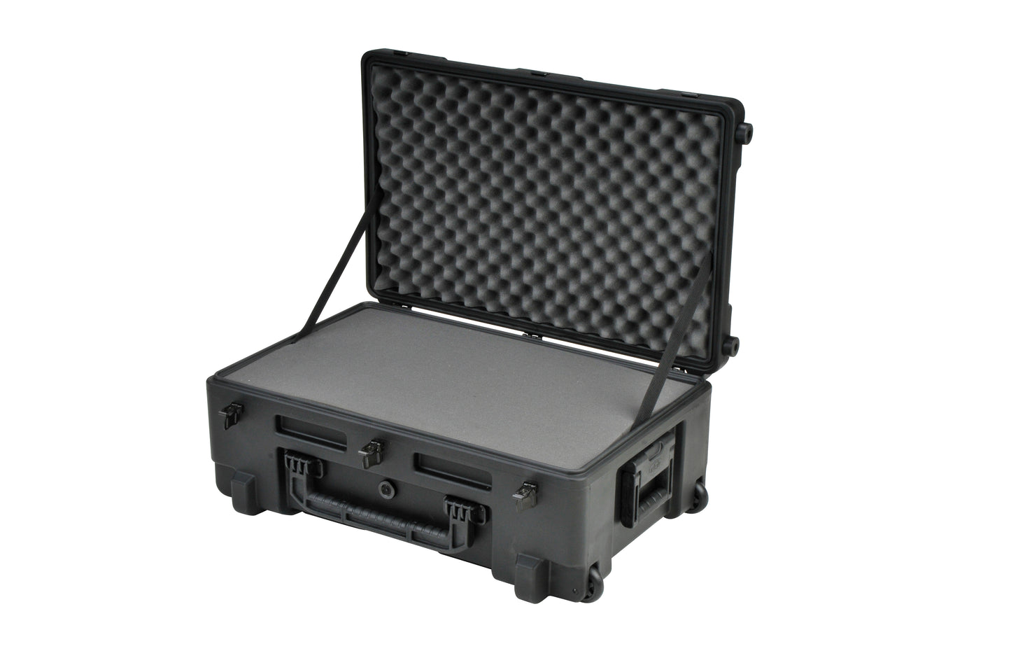 rSeries 2817-10B-Case