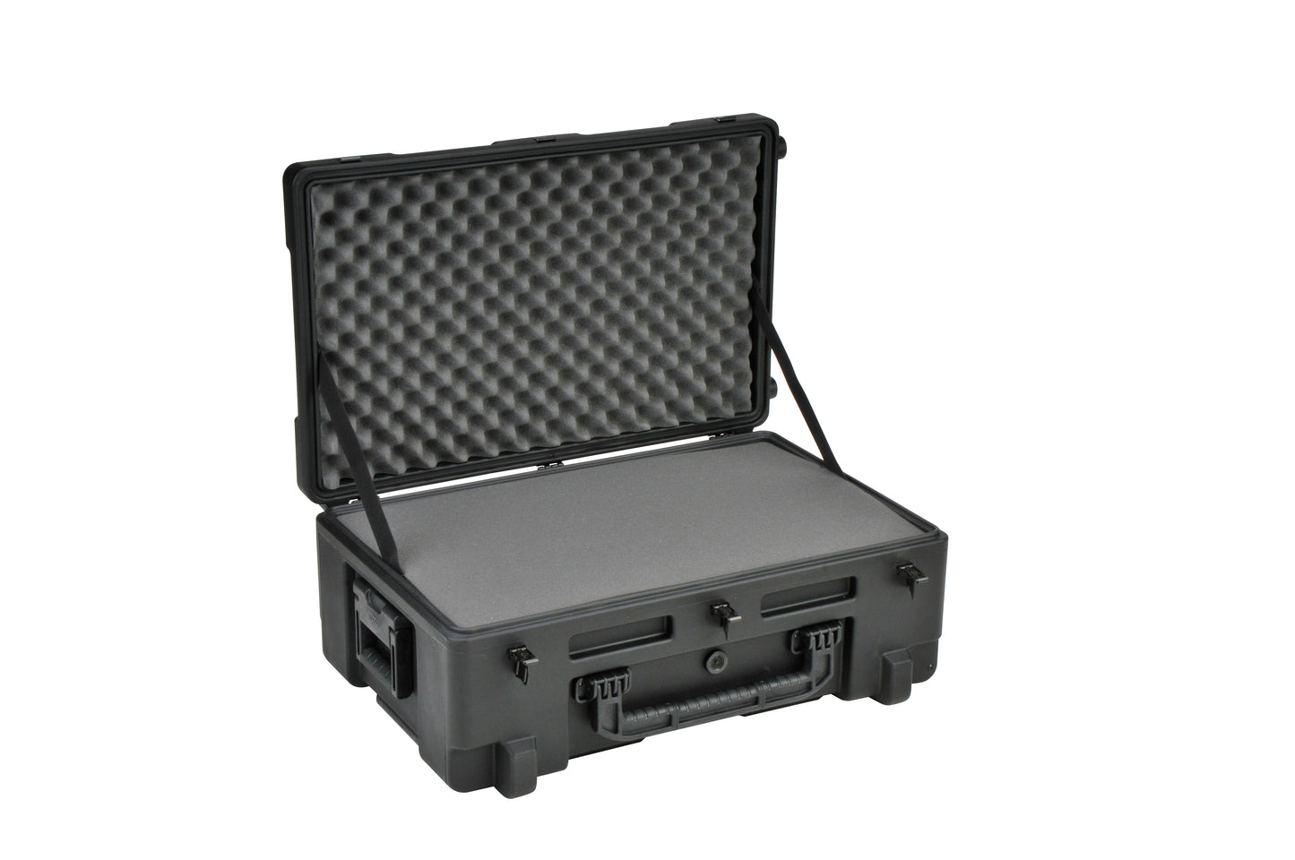 rSeries 2817-10B-Case