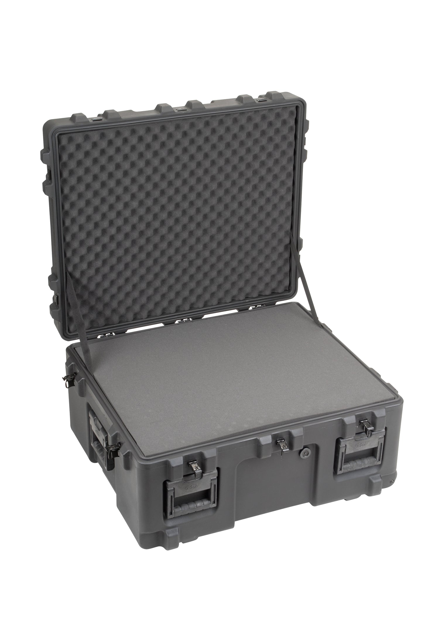 rSeries 3025-15B-Case