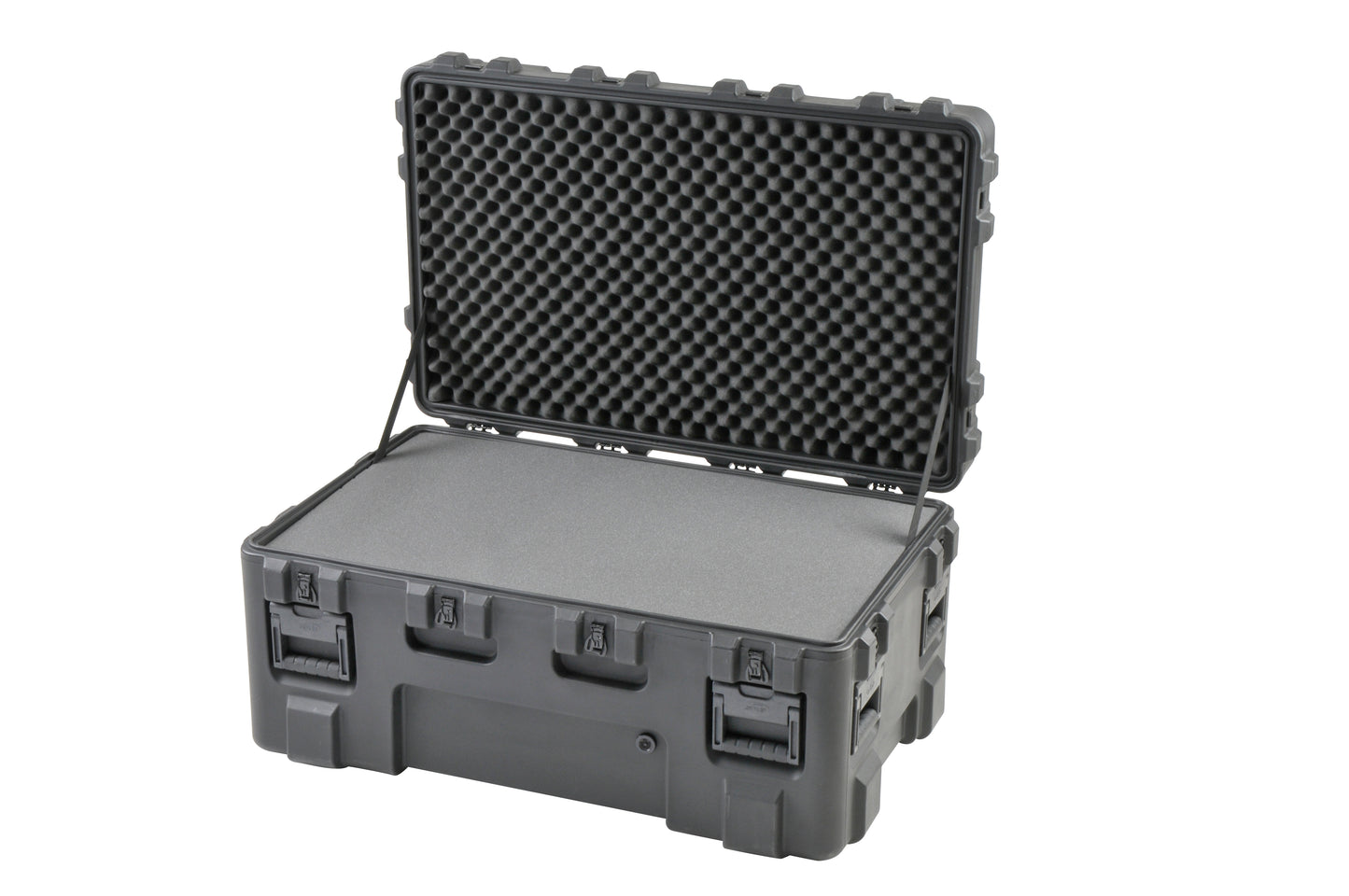 rSeries 4024-18B-Case