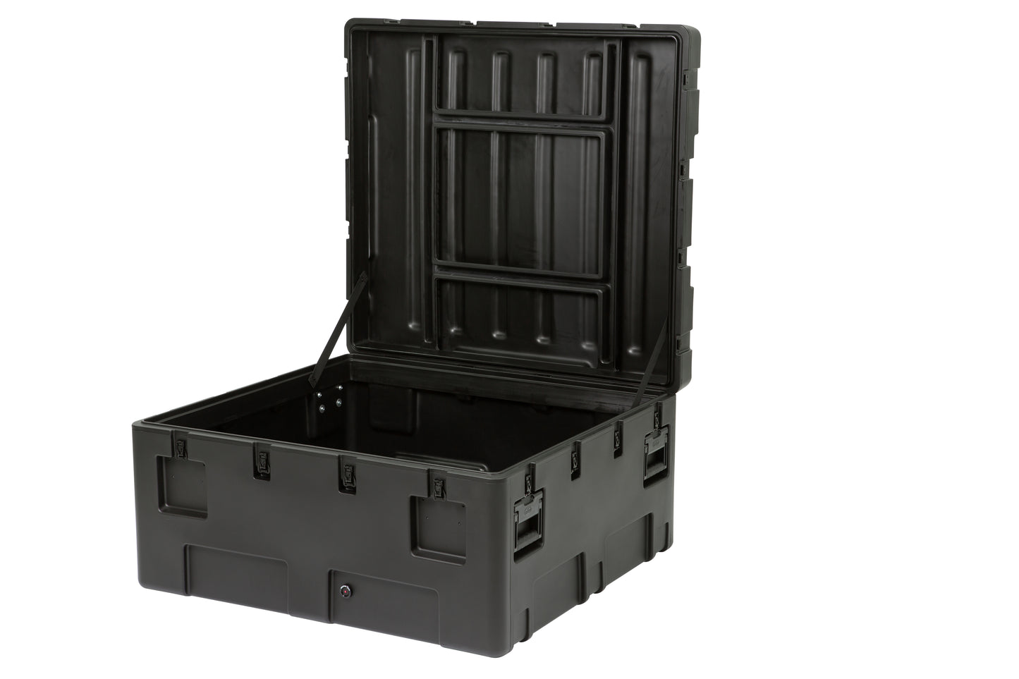 rSeries 4238-20B-Case