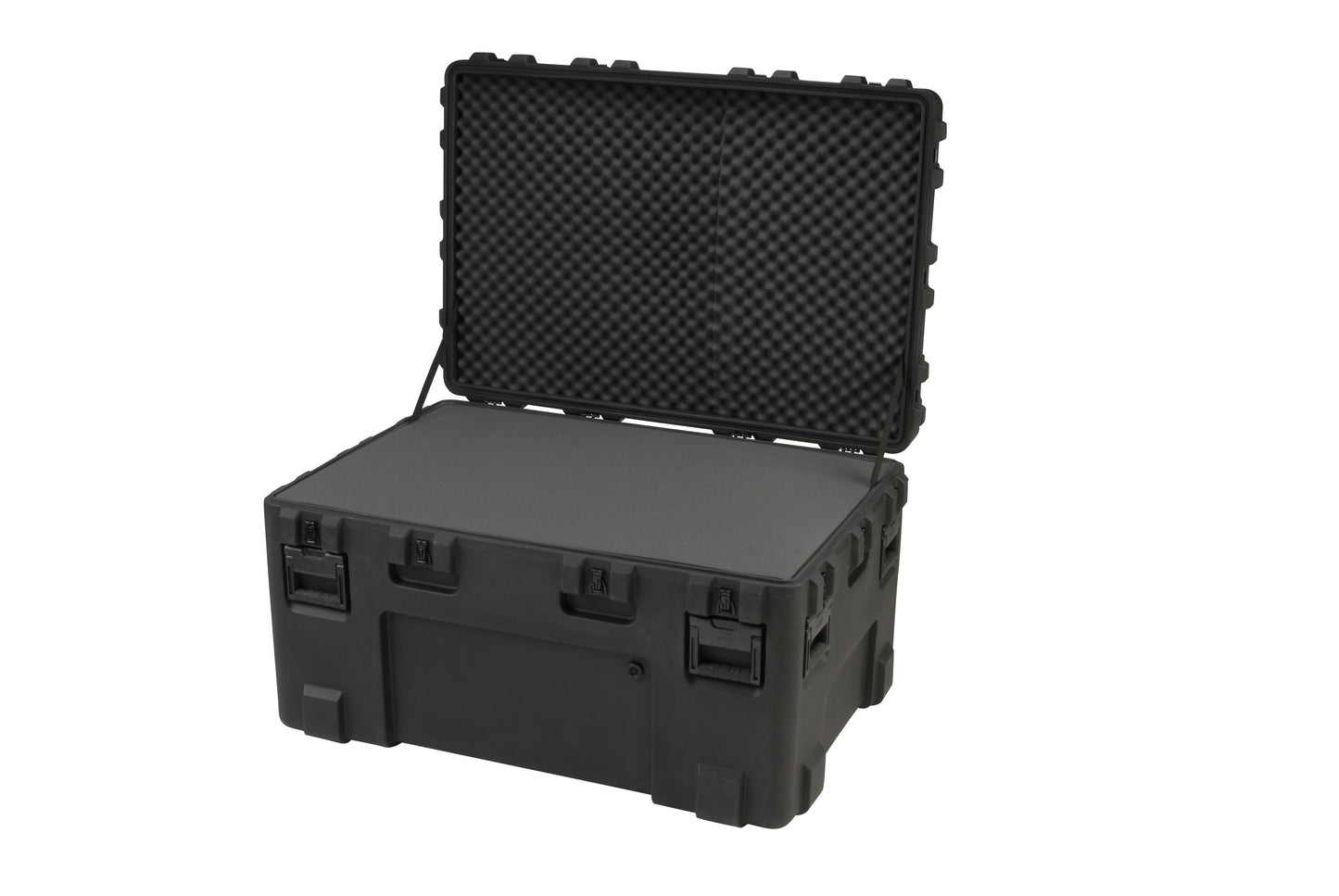 rSeries 4530-24B-Case