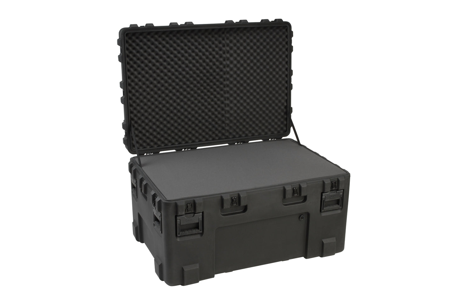 rSeries 4530-24B-Case