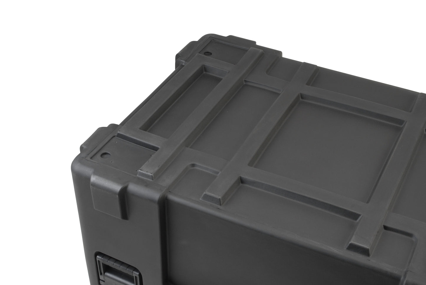 rSeries 4530-24B-Case