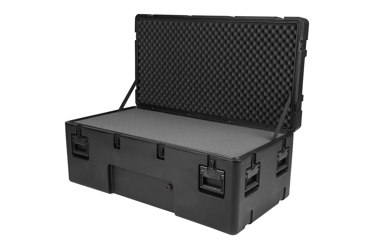rSeries 4824-18B-Case